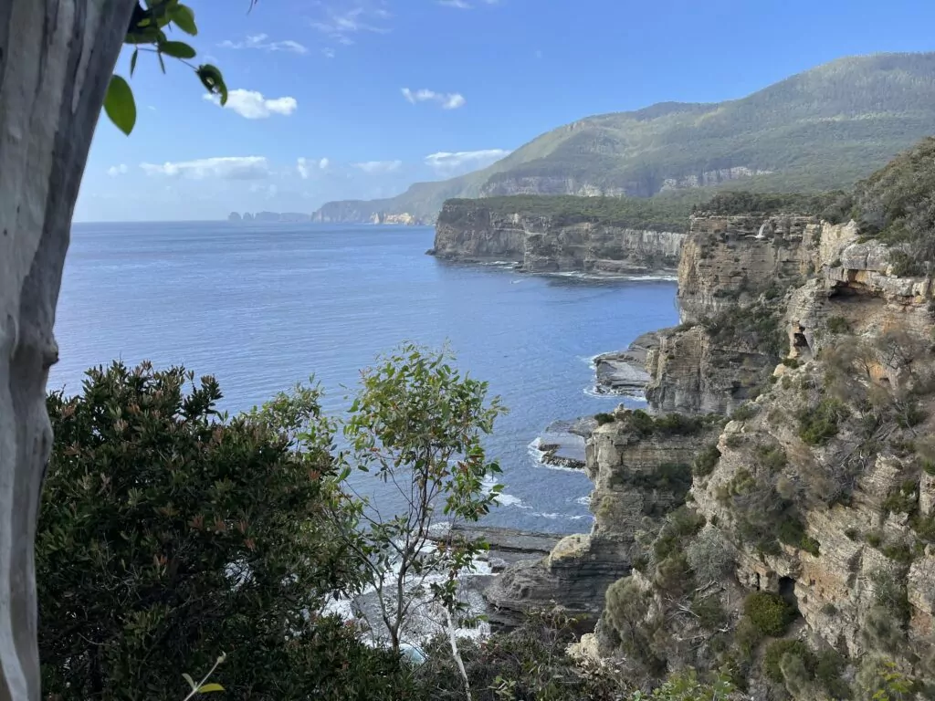 Coastal cliffs clad in eucalypt forests of Tasman National Park. 
