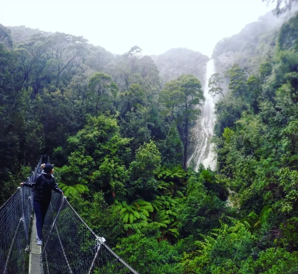 West Coast Rainforest and Waterfall.