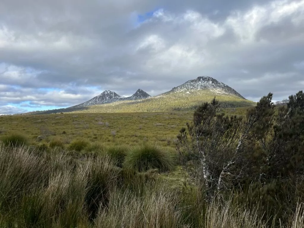 Scenes from the drive on the Lyell Highway through the Franklin Gordon Wild Rivers NP